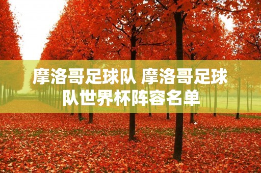 摩洛哥足球队 摩洛哥足球队世界杯阵容名单