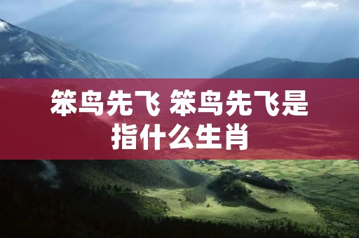 笨鸟先飞 笨鸟先飞是指什么生肖 笨鸟先飞 笨鸟先飞是指什么生肖