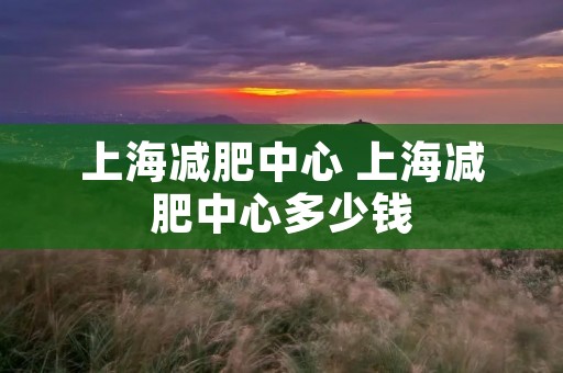 上海减肥中心 上海减肥中心多少钱
