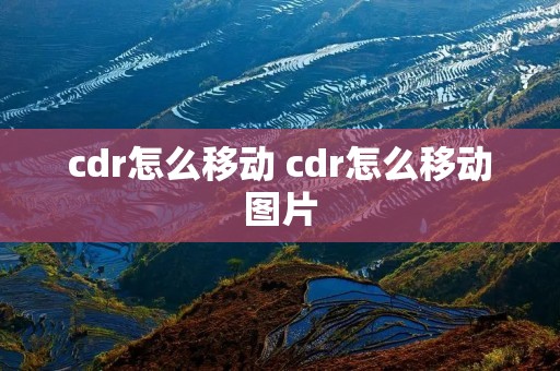 cdr怎么移动 cdr怎么移动图片