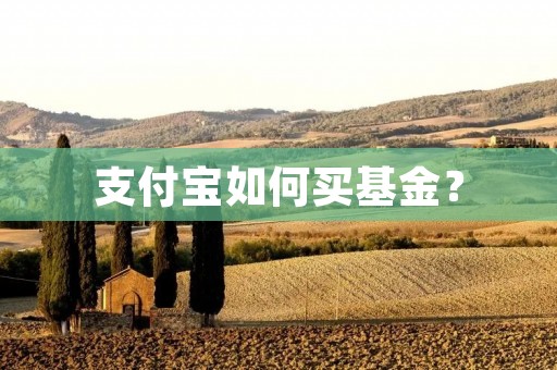 支付宝如何买基金？