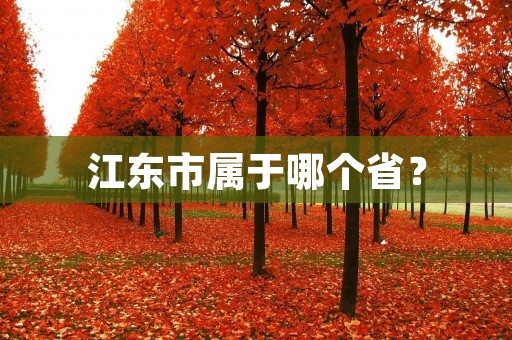 江东市属于哪个省?