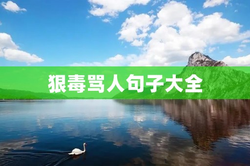 狠毒骂人句子大全