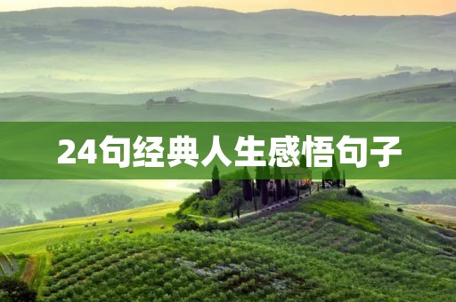 24句经典人生感悟句子 24句经典人生感悟句子