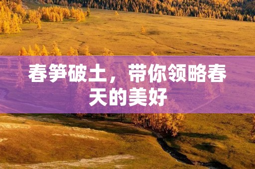 春笋破土，带你领略春天的美好