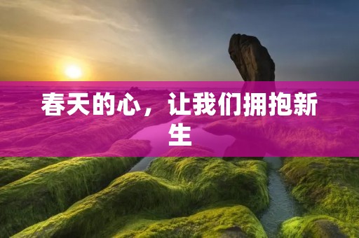 春天的心，让我们拥抱新生