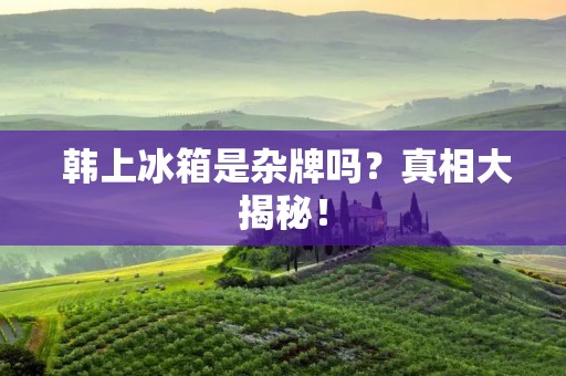  韩上冰箱是杂牌吗？真相大揭秘！