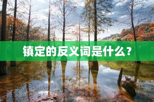 镇定的反义词是什么?