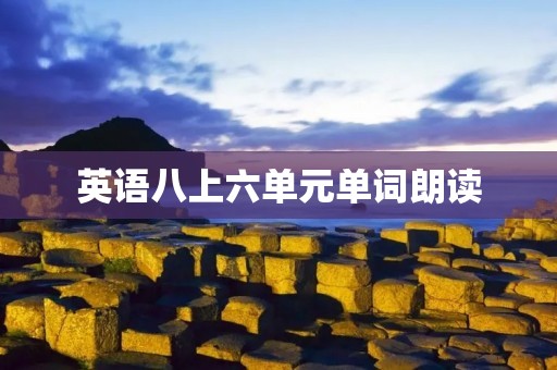 英语八上六单元单词朗读：提高英语口语的有效方法