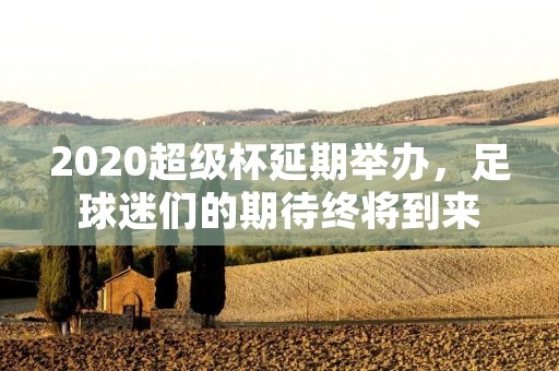 2020超级杯延期举办，足球迷们的期待终将到来