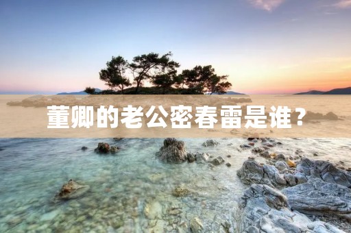 董卿的老公密春雷是谁?