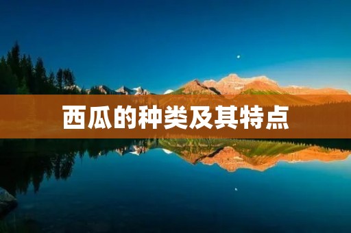 西瓜的种类及其特点