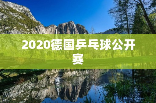 2020德国乒乓球公开赛：中国选手包揽单打和双打冠军