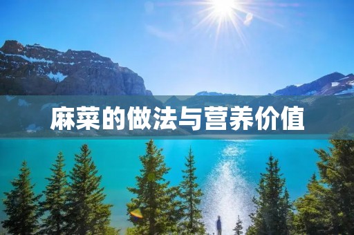 麻菜的做法与营养价值 麻菜的做法与营养价值