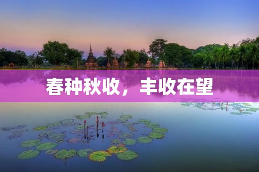 春种秋收，丰收在望