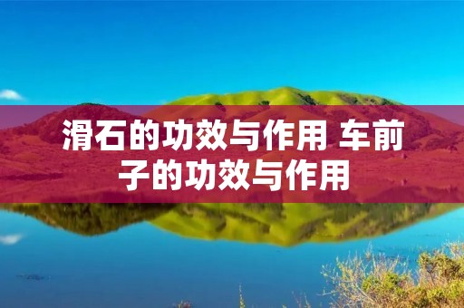 滑石的功效与作用 车前子的功效与作用 滑石的功效与作用 车前子的功效与作用