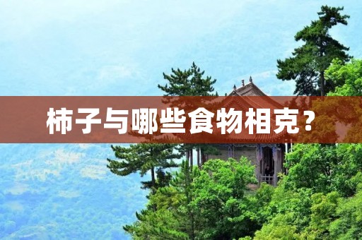 柿子与哪些食物相克?