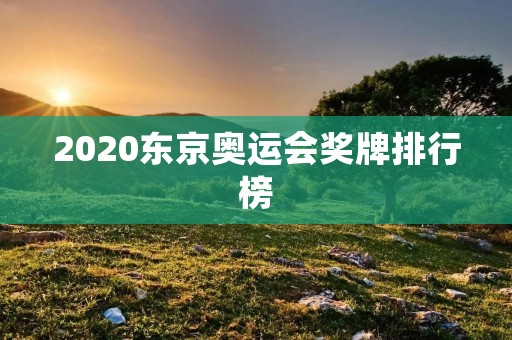 2020东京奥运会奖牌排行榜