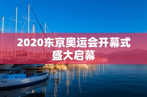 2020东京奥运会开幕式盛大启幕 2020东京奥运会开幕式盛大启幕