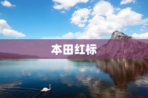 本田红标:经典之作再现 本田红标:经典之作再现