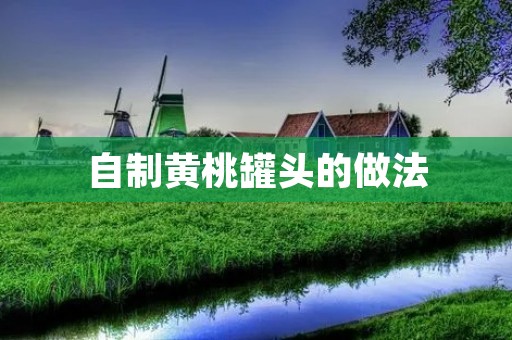 自制黄桃罐头的做法