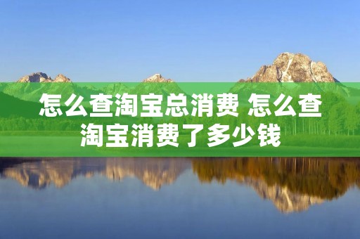 怎么查淘宝总消费 怎么查淘宝消费了多少钱