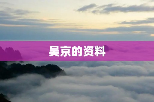 吴京的资料:从小龙人到战狼,他的成长历程