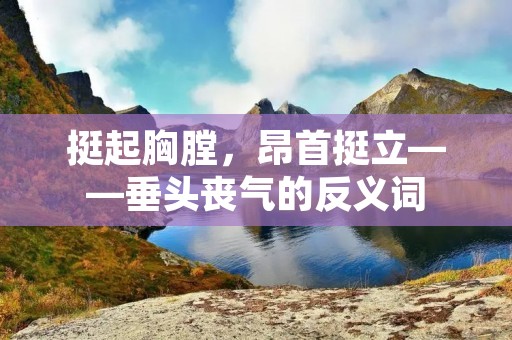 挺起胸膛,昂首挺立——垂头丧气的反义词 挺起胸膛,昂首挺立——垂头丧气的反义词