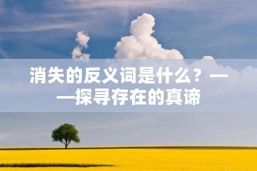消失的反义词是什么?——探寻存在的真谛 消失的反义词是什么?——探寻存在的真谛