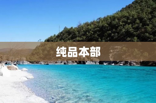 纯品本部：打造高品质生活方式的领导者