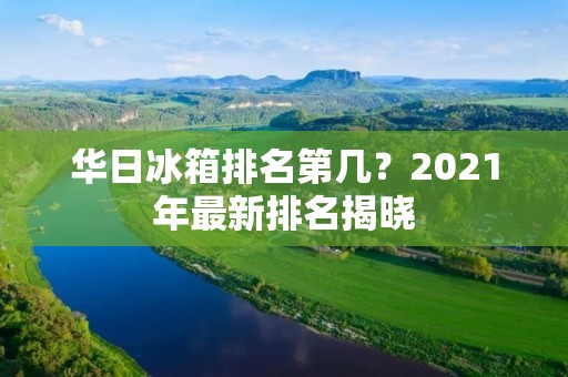 华日冰箱排名第几？2021年最新排名揭晓