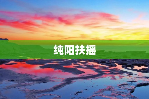 纯阳扶摇：一部讲述成长与奋斗的古装剧