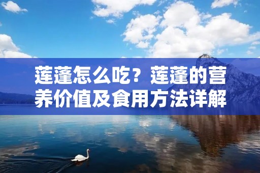 莲蓬怎么吃?莲蓬的营养价值及食用方法详解 莲蓬怎么吃?莲蓬的营养价值及食用方法详解