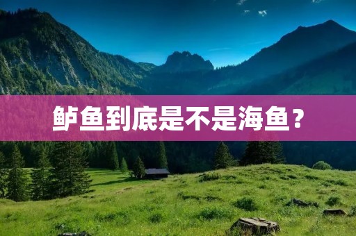 鲈鱼到底是不是海鱼?