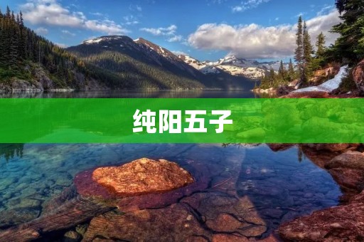 纯阳五子：中国传统文化中的珍品