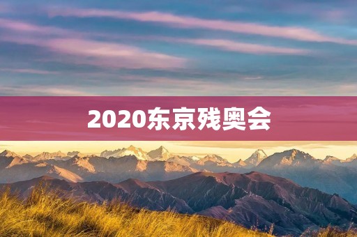 2020东京残奥会：为残疾人争取平等的舞台