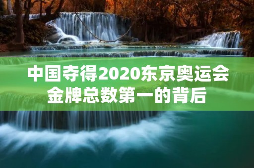 中国夺得2020东京奥运会金牌总数第一的背后