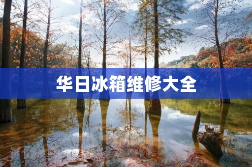 华日冰箱维修大全:常见问题及解决方法 华日冰箱维修大全:常见问题及解决方法