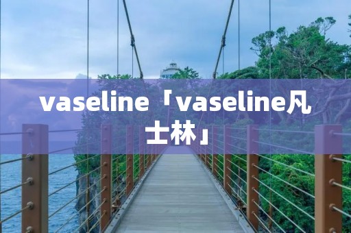 vaseline「vaseline凡士林」
