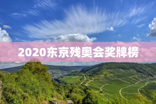 2020东京残奥会奖牌榜：中国夺得第一