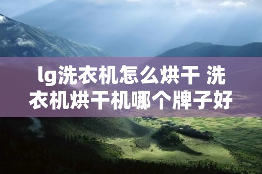 lg洗衣机怎么烘干 洗衣机烘干机哪个牌子好
