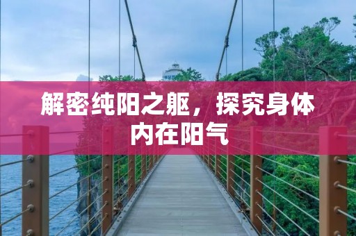 解密纯阳之躯，探究身体内在阳气