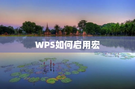 WPS如何启用宏 WPS如何启用宏