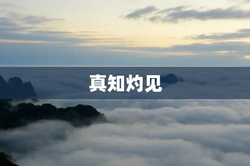 真知灼见:如何获得深度洞见 真知灼见:如何获得深度洞见