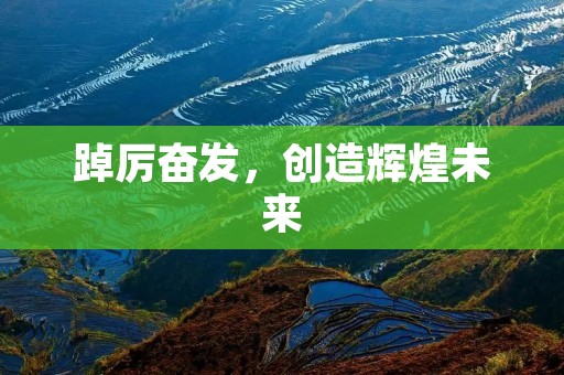 踔厉奋发,创造辉煌未来 踔厉奋发,创造辉煌未来