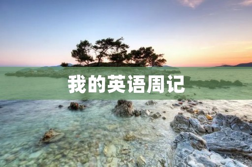 我的英语周记