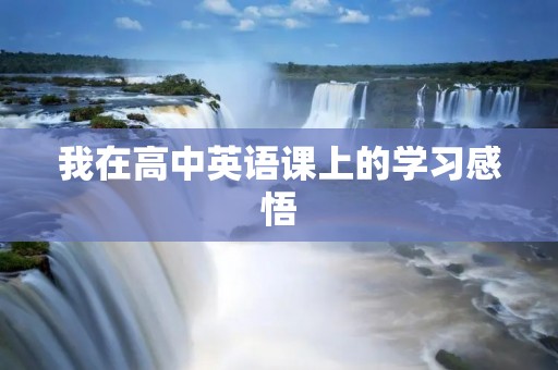 我在高中英语课上的学习感悟 我在高中英语课上的学习感悟