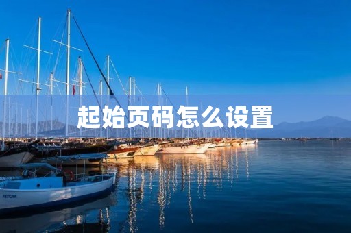 起始页码怎么设置: 起始页码怎么设置: