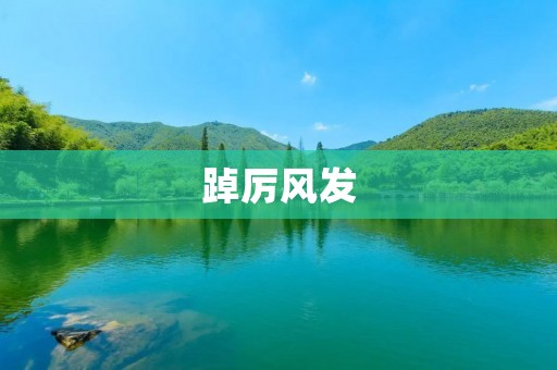 踔厉风发：追求卓越的人生态度