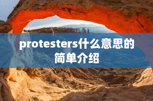 protesters什么意思的简单介绍